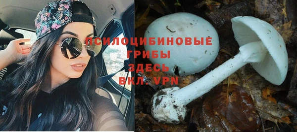 каннабис Абдулино