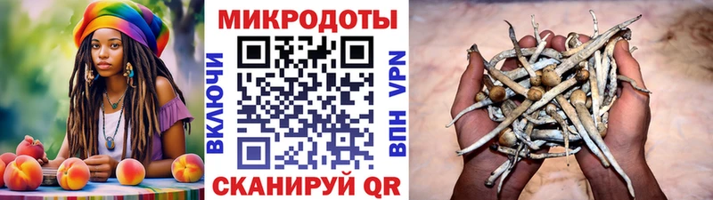 где продают   Таганрог  Псилоцибиновые грибы Psilocybine cubensis 